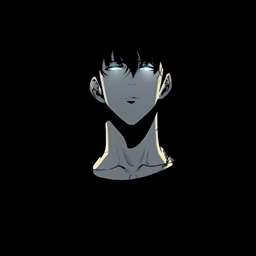 AMIR69